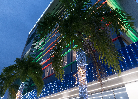 ACAP enciende las luces navideñas en su torre corpor...