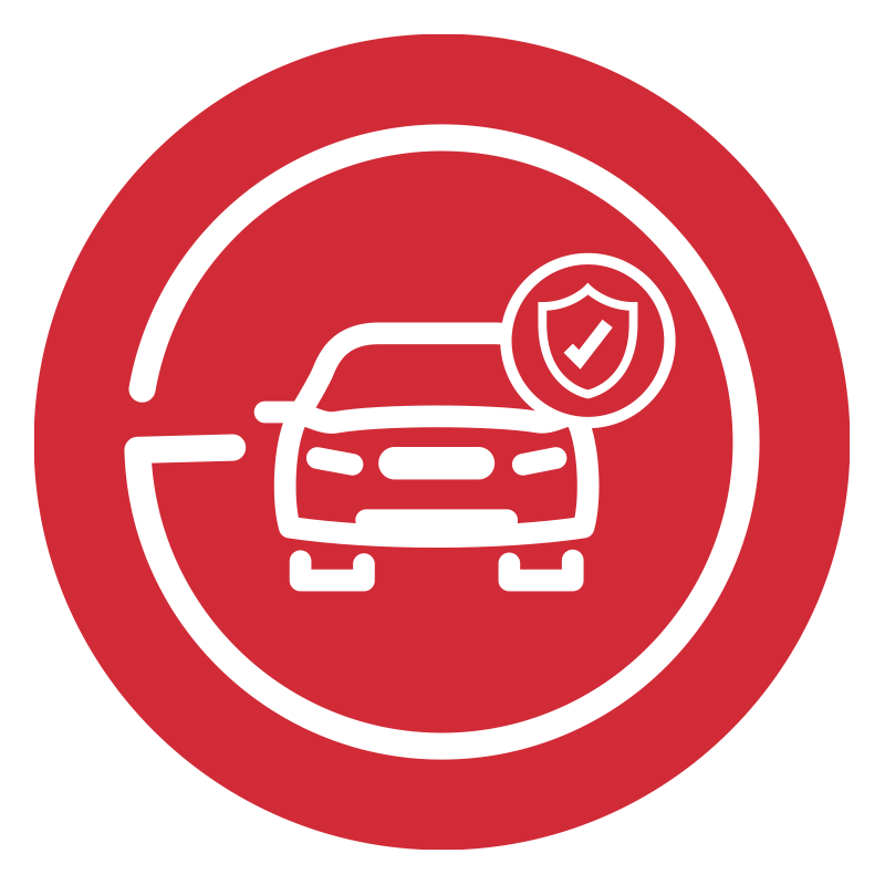 Seguro Auto Ley Cibao